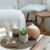 Aromamarketing – odkryj moc zapachów w biznesie